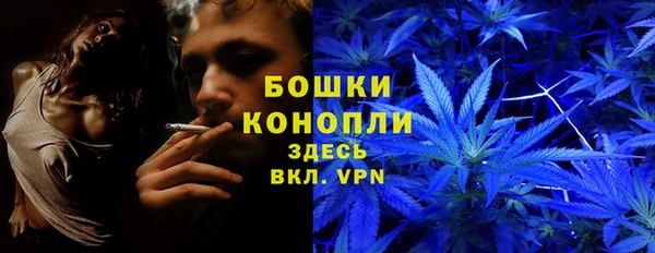 мескалин Арсеньев