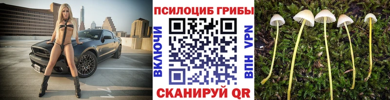 наркота  Нальчик  Псилоцибиновые грибы мухоморы 