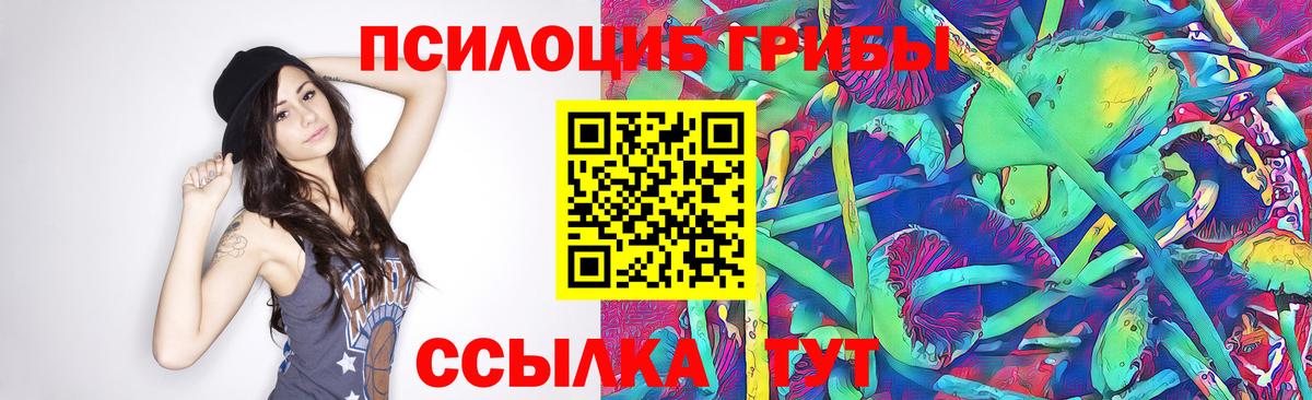 Нальчик  Псилоцибиновые грибы Psilocybe  Вход с VPN 