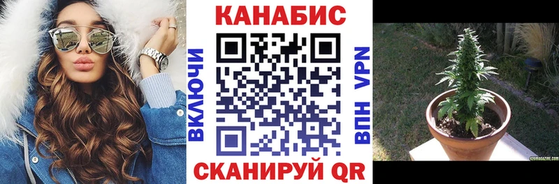 Бошки марихуана планчик Нальчик