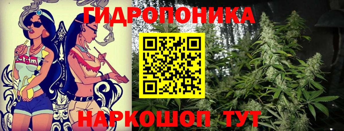Конопля конопля  Вход с VPN  Нальчик  МАРИХУАНА VHQ 